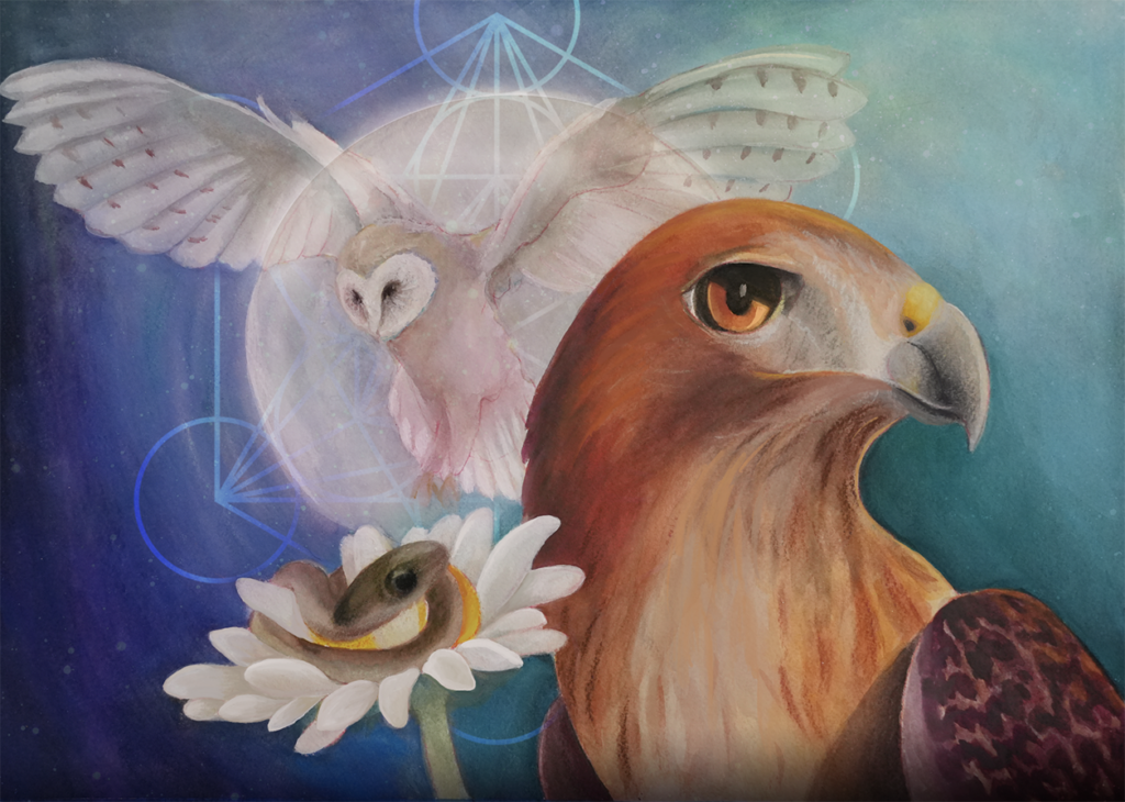 Artwork of Hawk, Owl and Snake